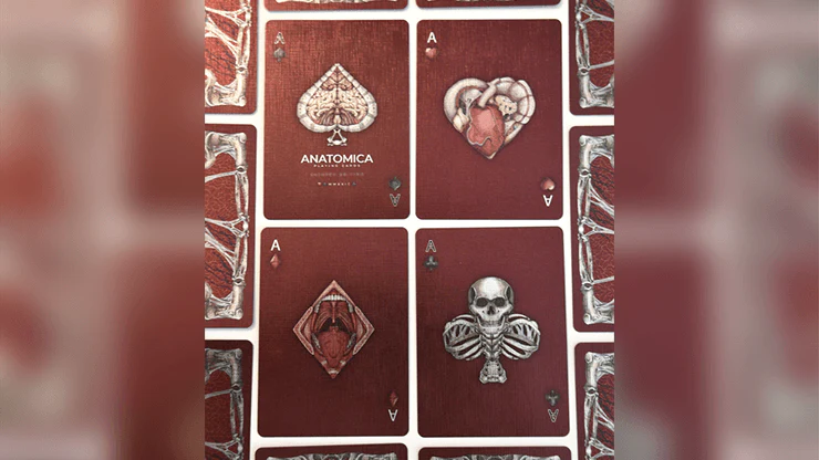 Alterna Playing Cards Cartamundi - Image 3