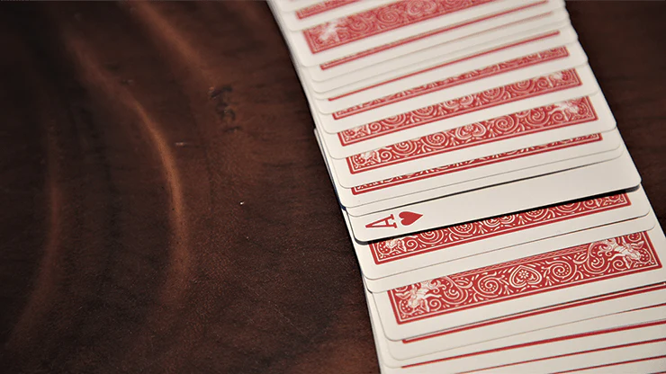 Anarchy Bicycle Playing Cards - Image 3