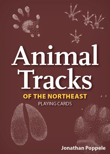 Animal Tracks of the Northeast Playing Cards