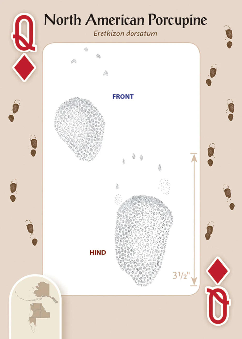 Animal Tracks of the Northwest Playing Cards - Image 3