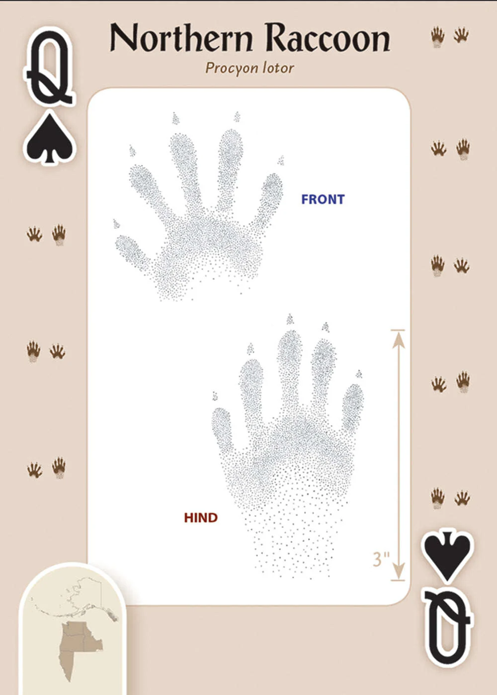 Animal Tracks of the Northwest Playing Cards - Image 4