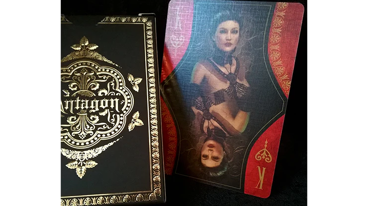 Antagon Royal Standard Edition Playing Cards NPCC - Image 2