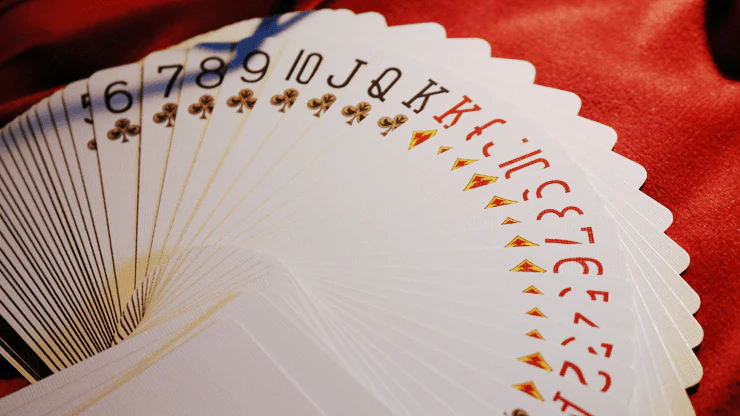 Bald Eagle Bicycle Playing Cards with Numbered Seal - Image 5