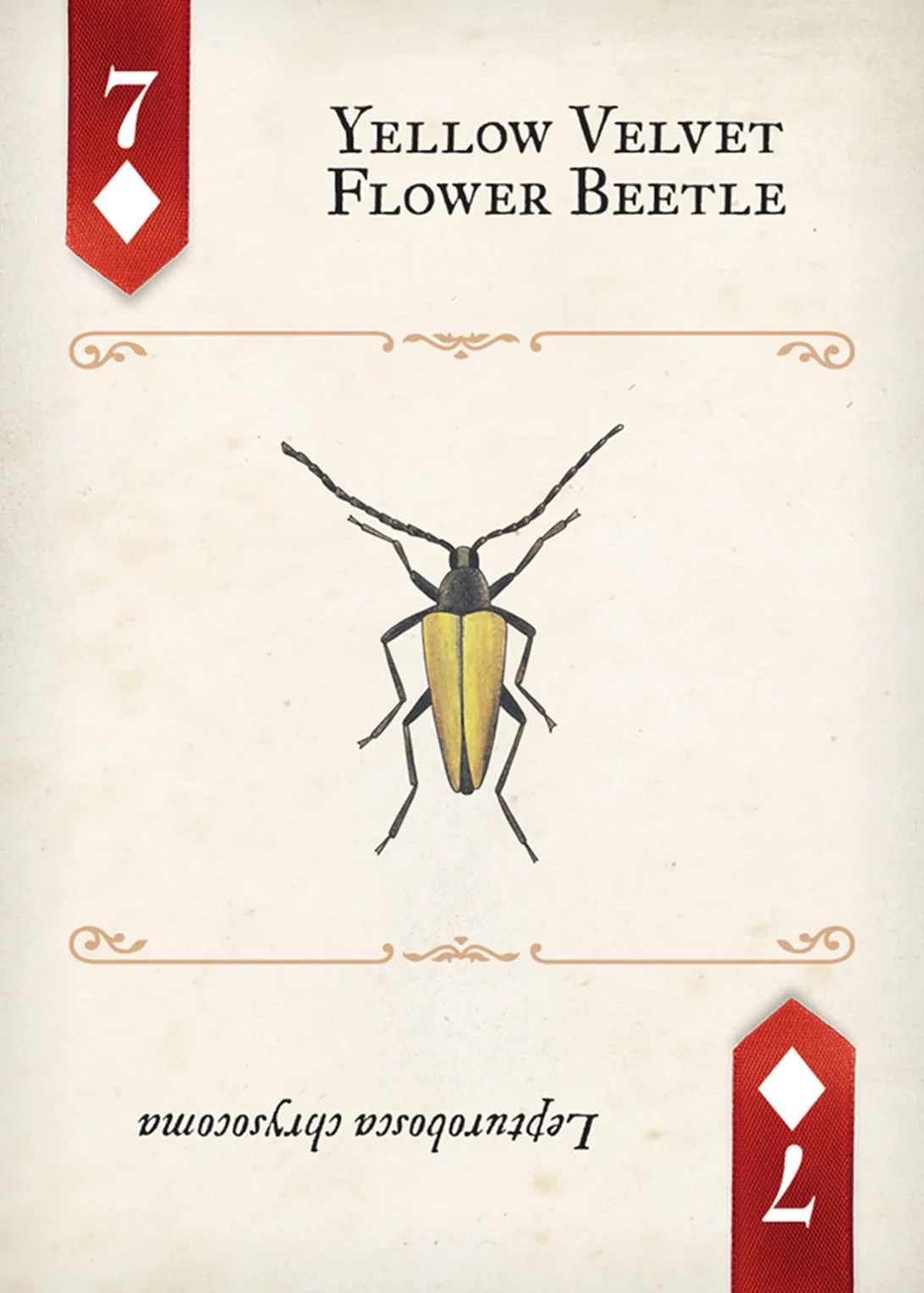 Beetles Playing Cards - Image 5