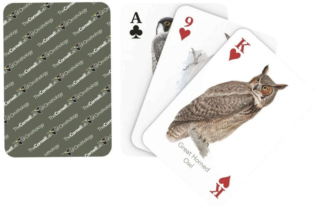 Birds of Eastern / Central North America Playing Cards NYPC - Image 2