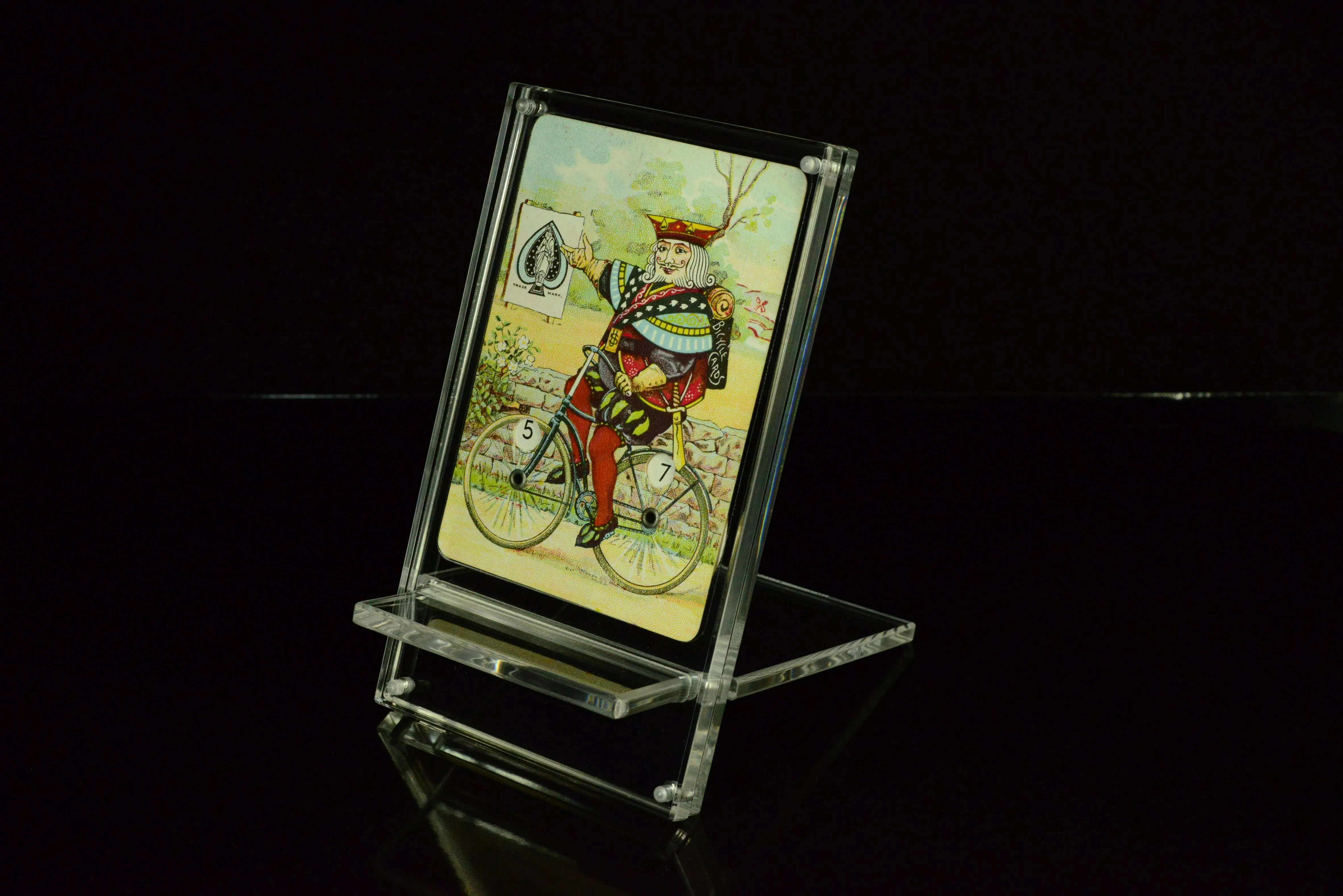 Carat XDS Single Card Display & Deck Stand - Image 3