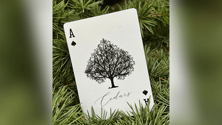 Cedars Gilded Playing Cards WJPC - Image 7