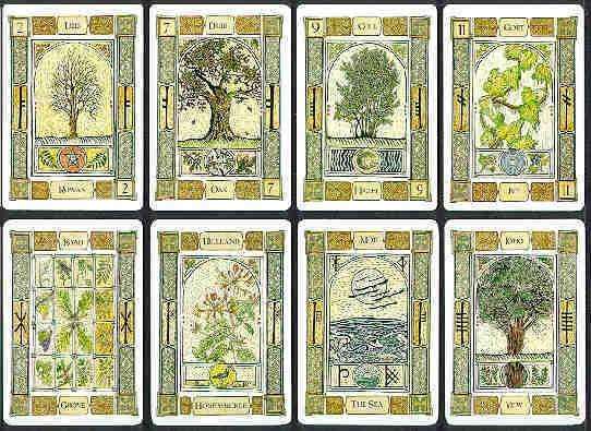 Celtic Tree Oracle - 25 Cards & 116 Page Guidebook - Image 2