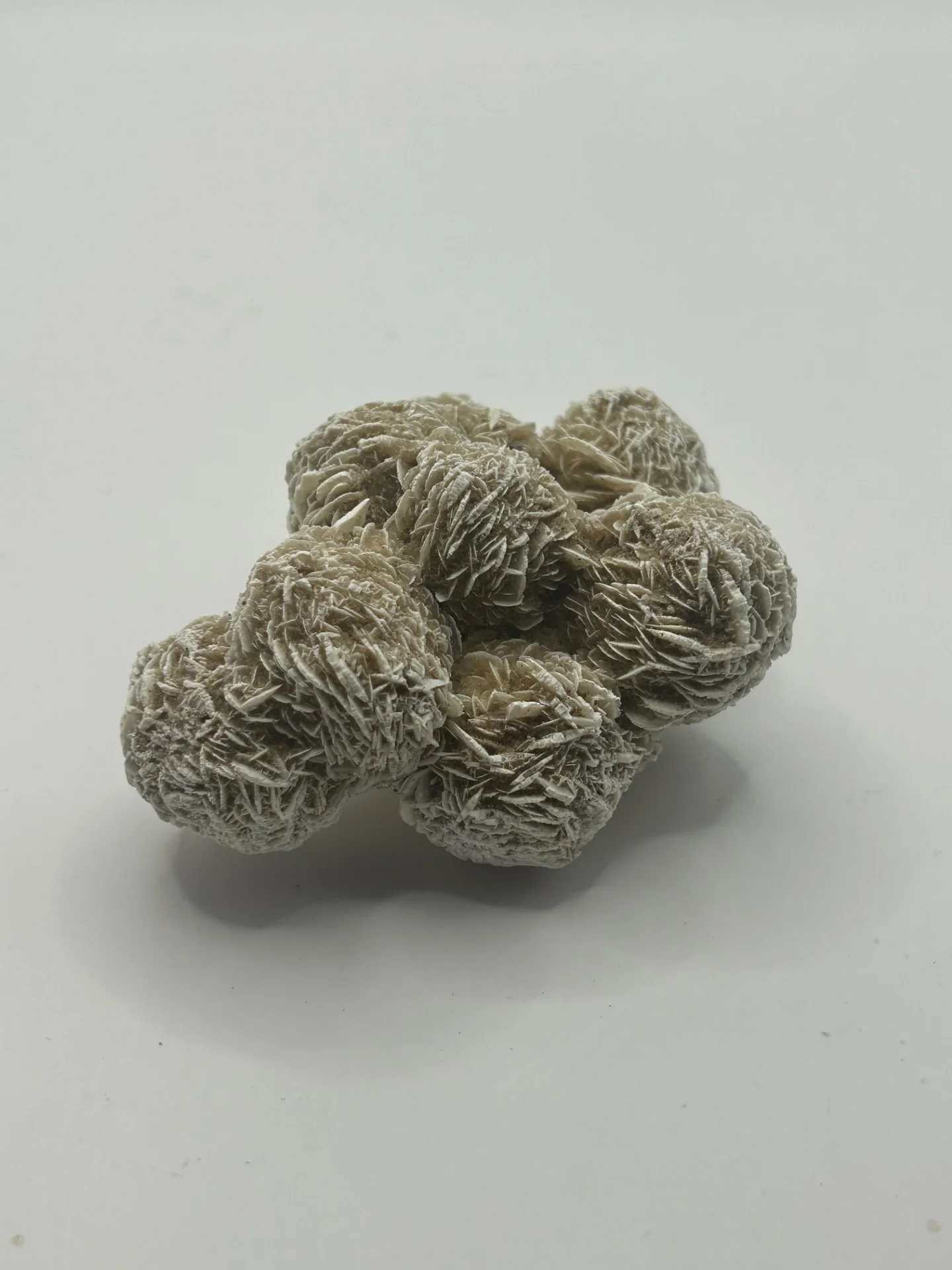 Desert Rose Cluster