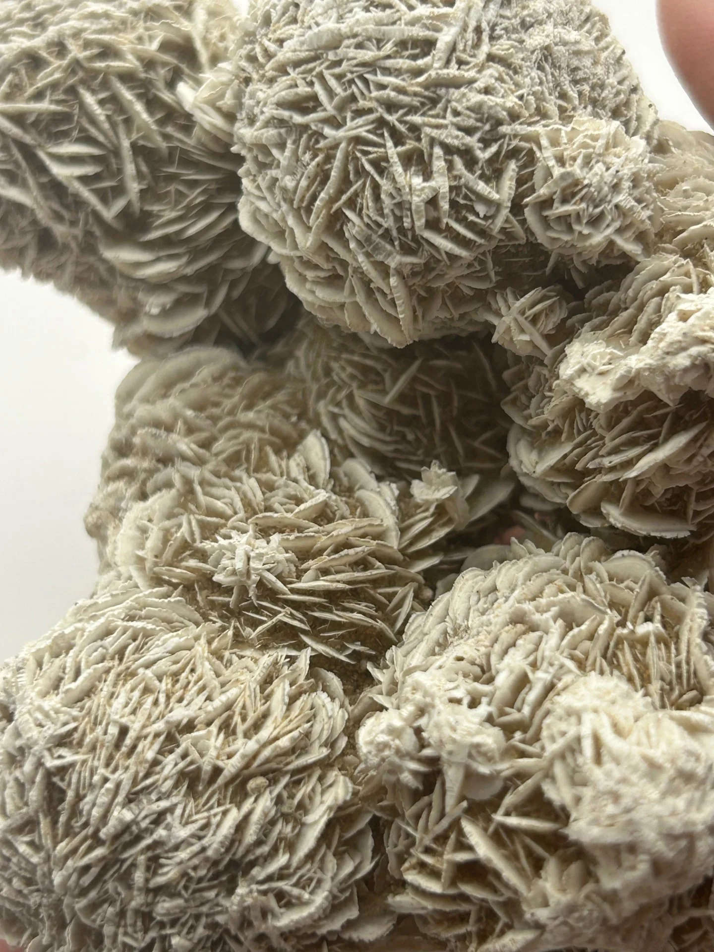 Desert Rose Cluster - Image 3