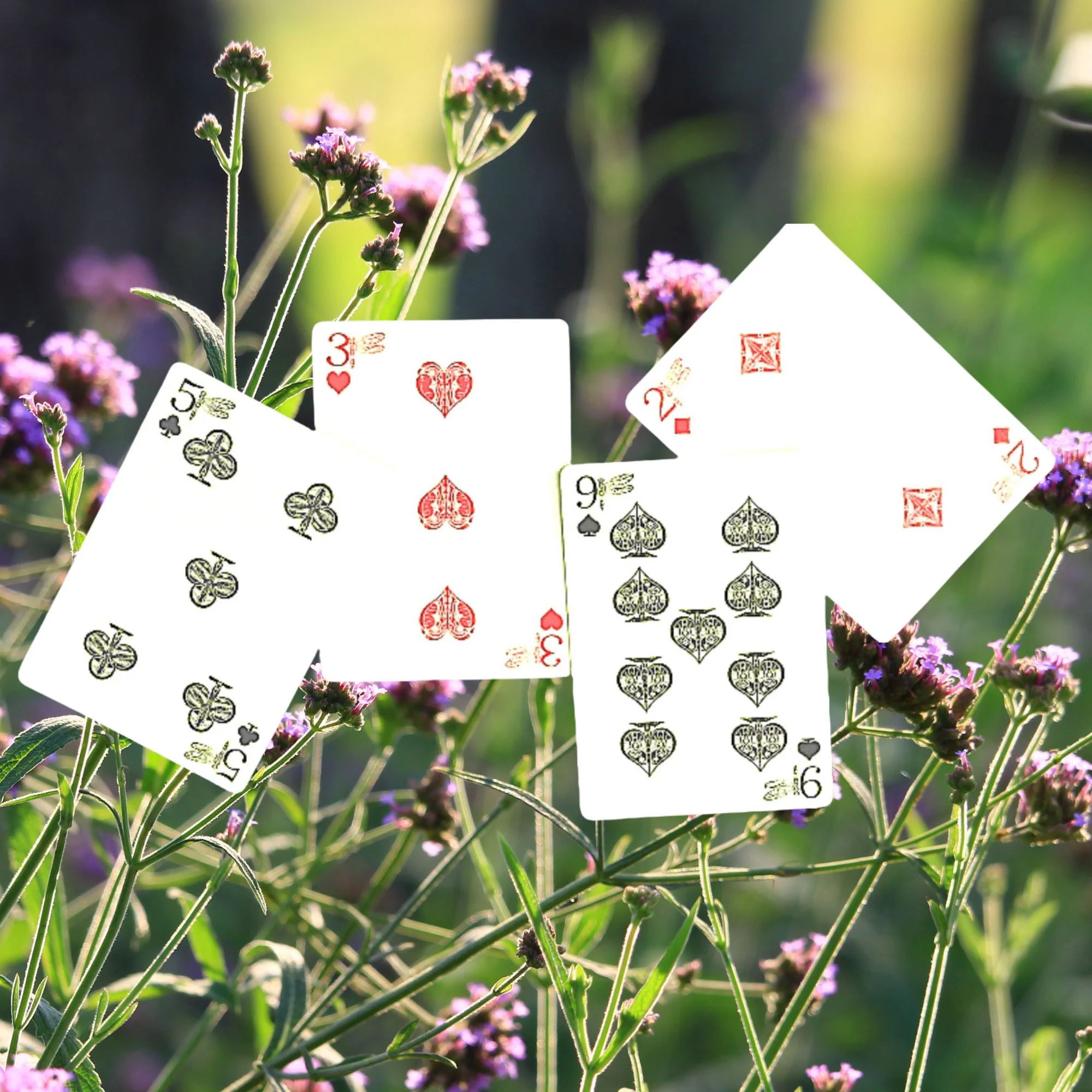 Dragonfly Playing Cards Teal & Lavender Edition - A PCD Original - Image 5