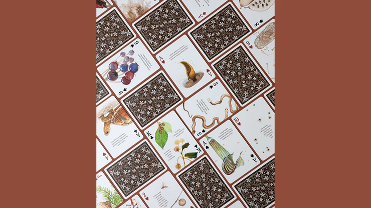 Eastern Forest Playing Cards USPCC - Image 2