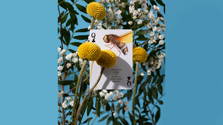 Eastern Forest Playing Cards USPCC - Image 3