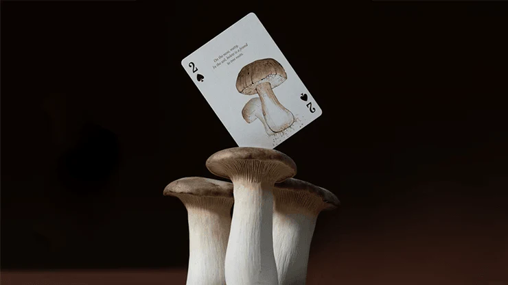 Eastern Forest Playing Cards USPCC - Image 6