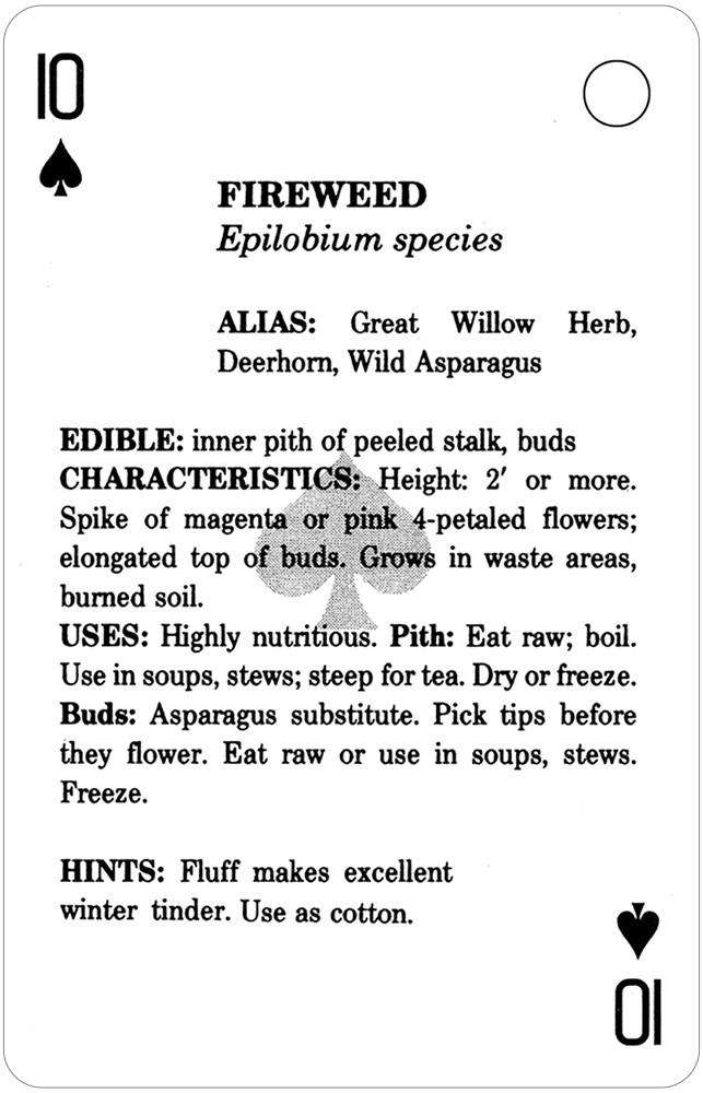 Edible Wild Foods Playing Cards USGS - Image 2