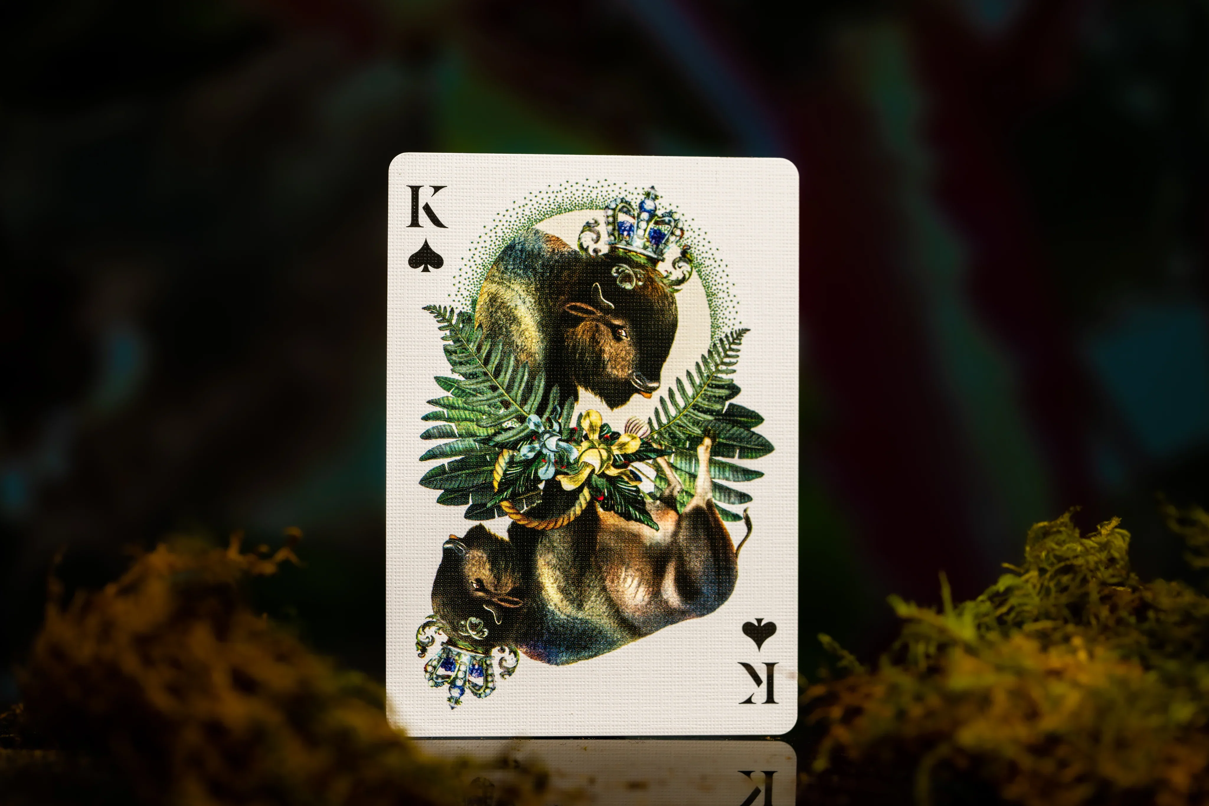 Extinct Animals Playing Cards by Theory 11 - Moooi Collaboration - Image 4