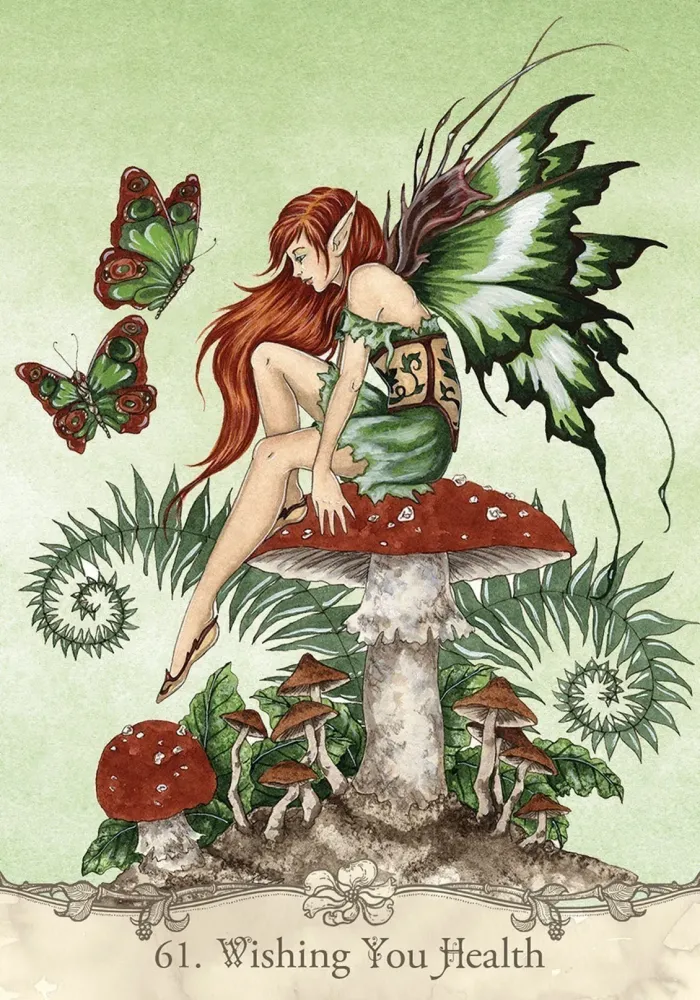 Fairy Wisdom Oracle Deck and Book Set - Image 10