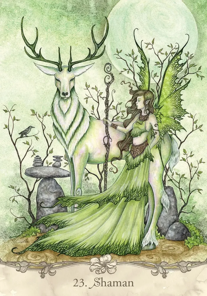 Fairy Wisdom Oracle Deck and Book Set - Image 4