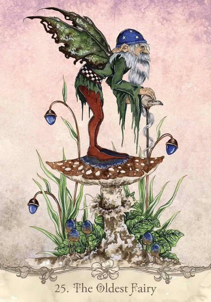 Fairy Wisdom Oracle Deck and Book Set - Image 5