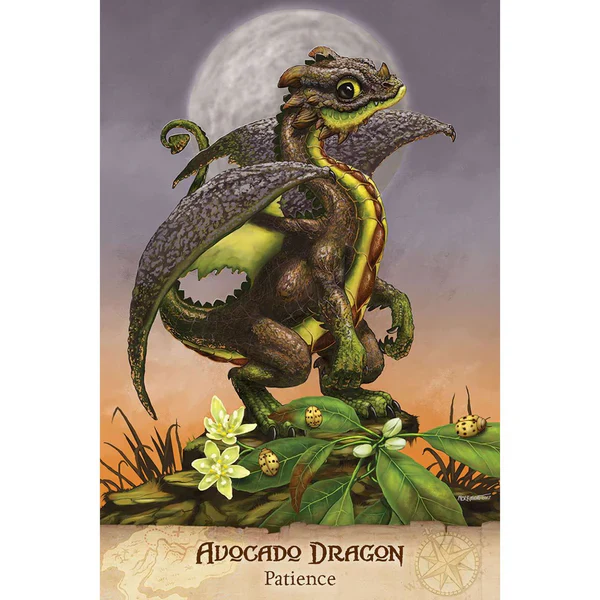 Field Guide To Garden Dragons Cards - Image 7