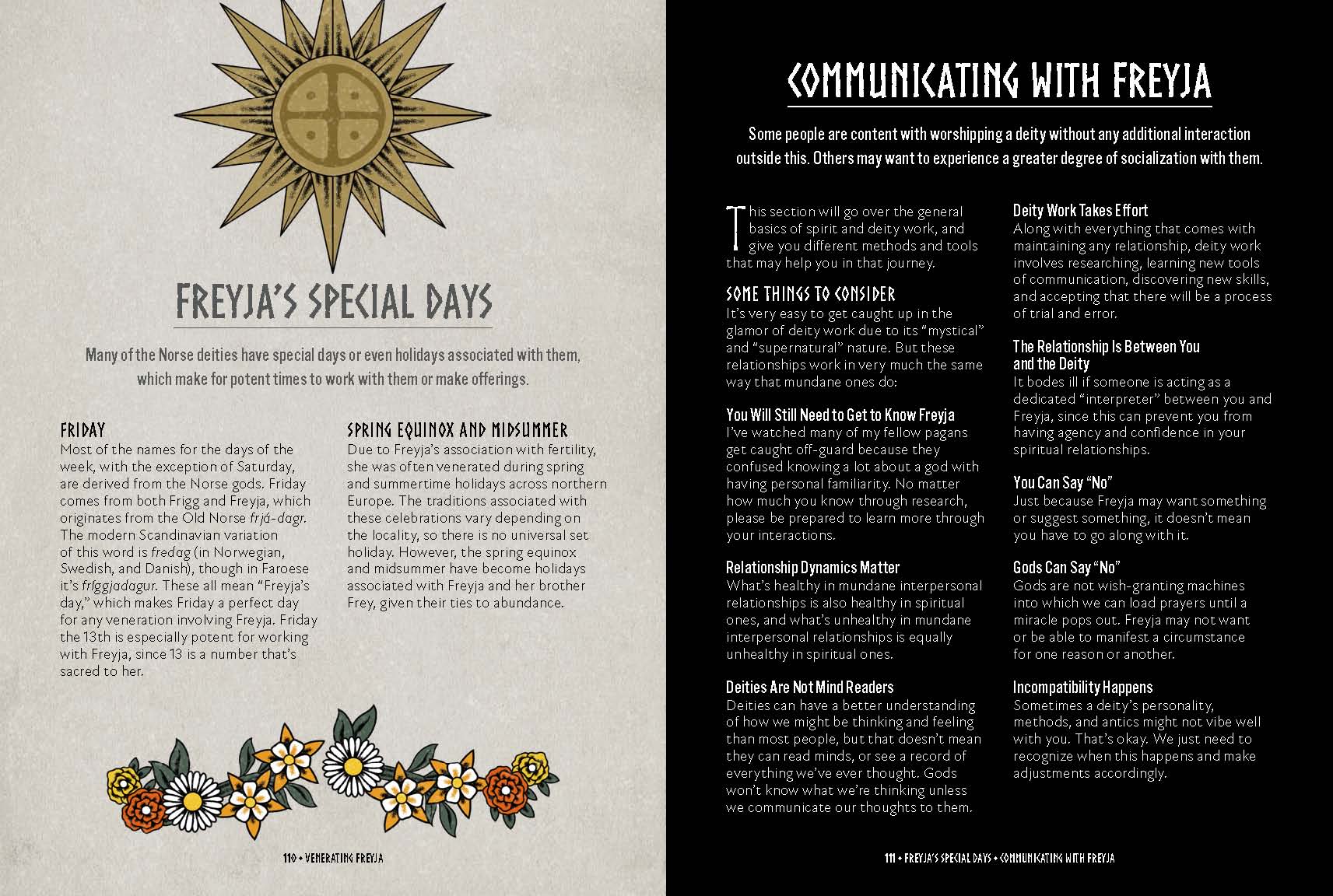 Freyja: An Illustrated Guide...Goddess of Magic, Love & War - Image 2