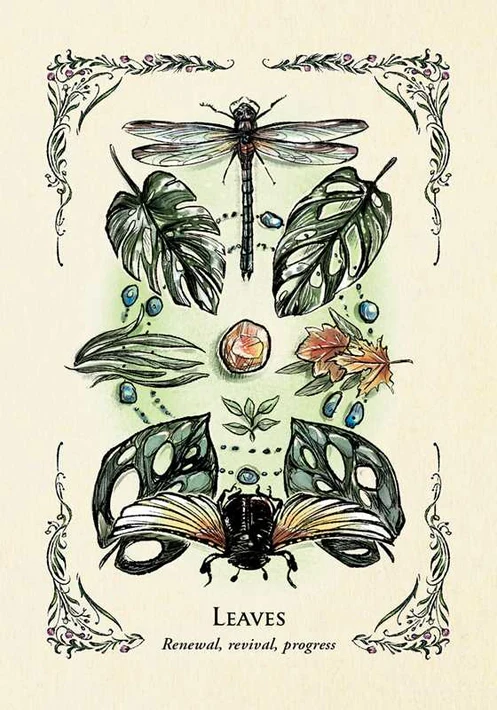 Green Witch's Oracle Deck By Arin Murphy-Hiscock - Image 3