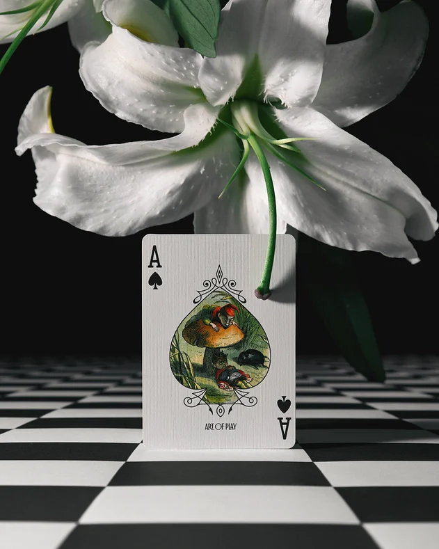 Grimmlore Tartan Playing Cards - by Art of Play - Image 3