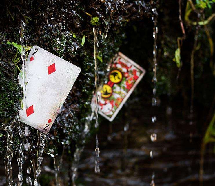 Jurassic Park Playing Cards Cartamundi - Image 9