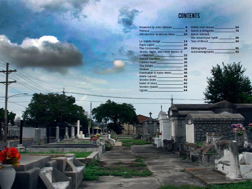 Justice Howard's Voodoo: Conjure and Sacrifice - Image 3