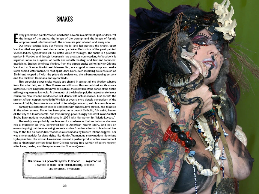 Justice Howard's Voodoo: Conjure and Sacrifice - Image 6