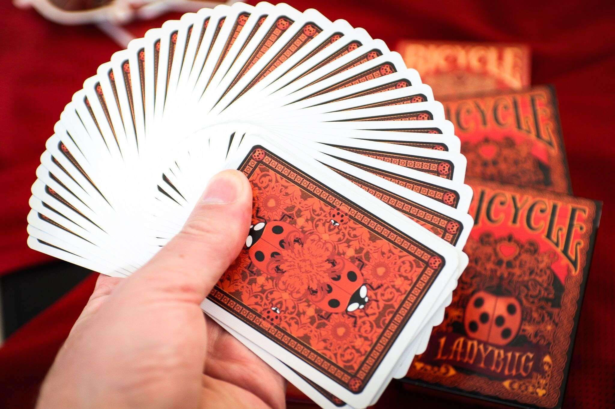 Ladybug Bicycle Gilded Playing Cards - Image 11