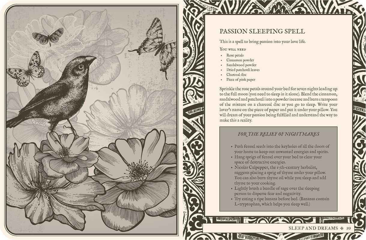 Lost Book of Spells by Fiona Horne - Image 10