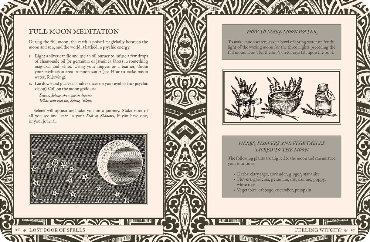 Lost Book of Spells by Fiona Horne - Image 8
