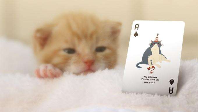 Meow Star Cat Playing Cards USPCC - Image 4