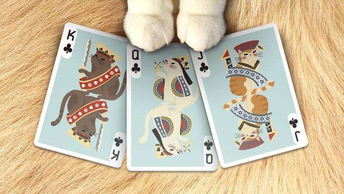Meow Star Cat Playing Cards USPCC - Image 6