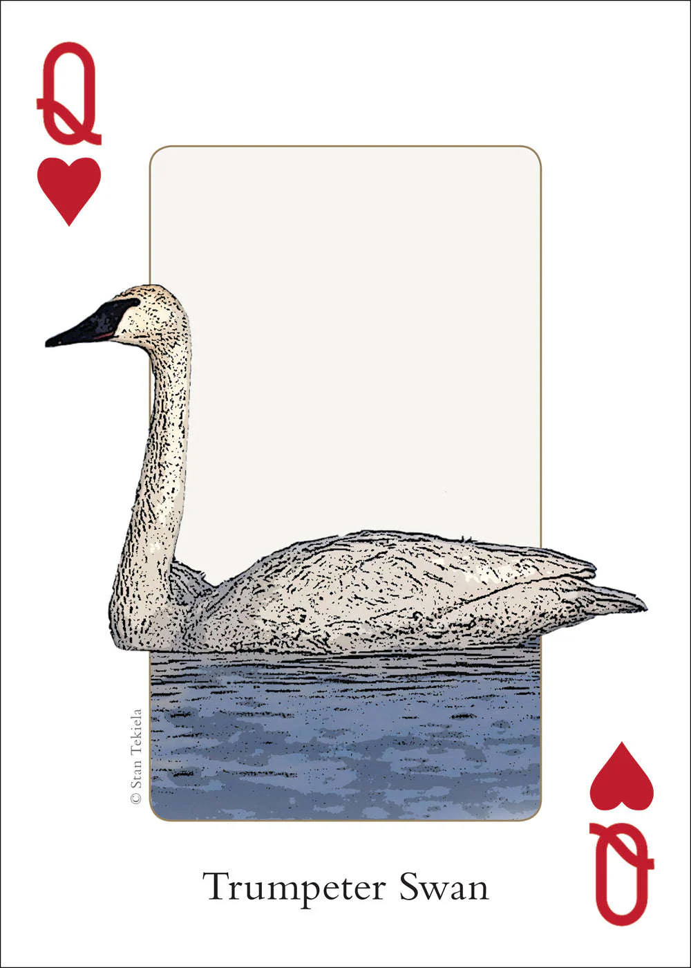 Midwest Birds Playing Cards - Image 4
