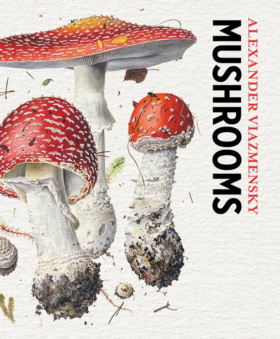 Mushrooms: Alexander Viazmensky Knowledge Cards - Image 2