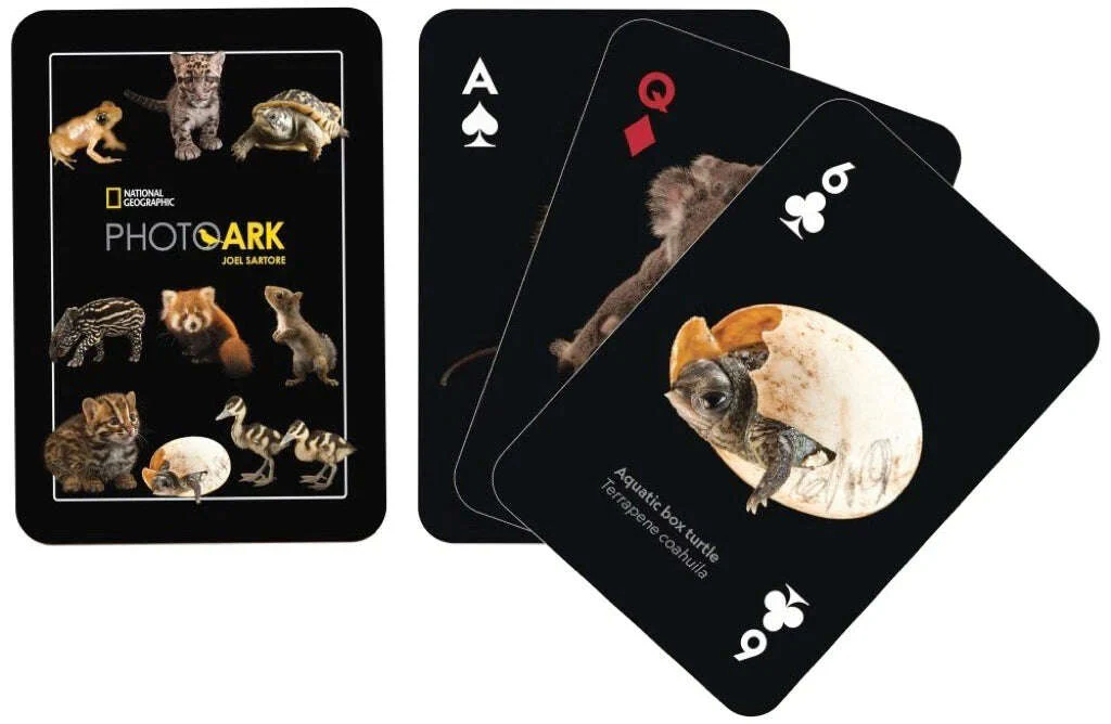 National Baby Animals Playing Cards NYPC - Image 2