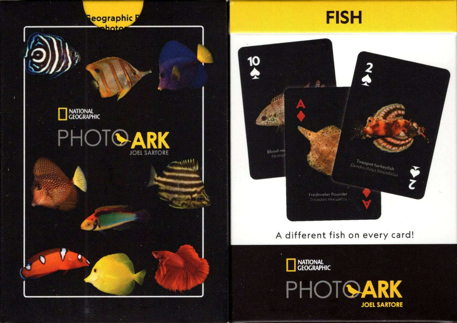 National Geographic Fish Playing Cards NYPC