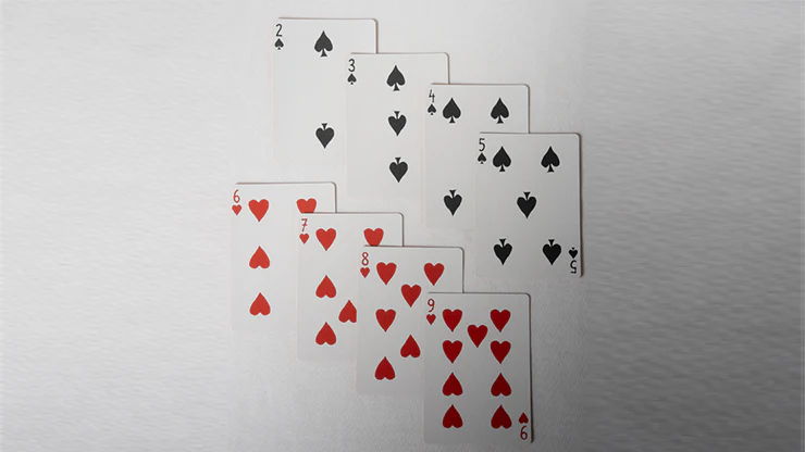 No Borders Edition 2 Dystopia Back Playing Cards by Joker and the Thief - Image 3
