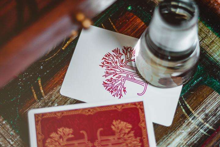 Philtre v2 Marked Playing Cards USPCC - Image 7