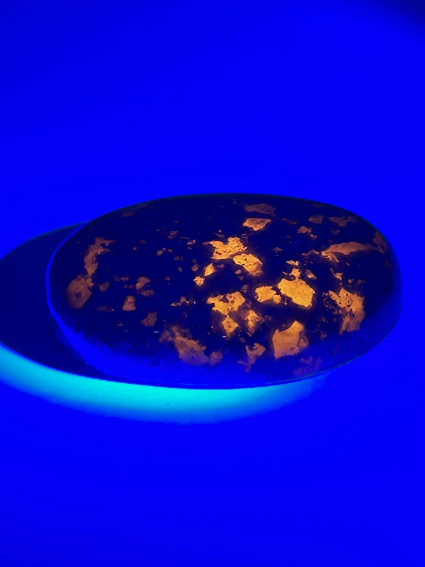Pocket UV Flashlight - Reveal the Unseen - Image 7