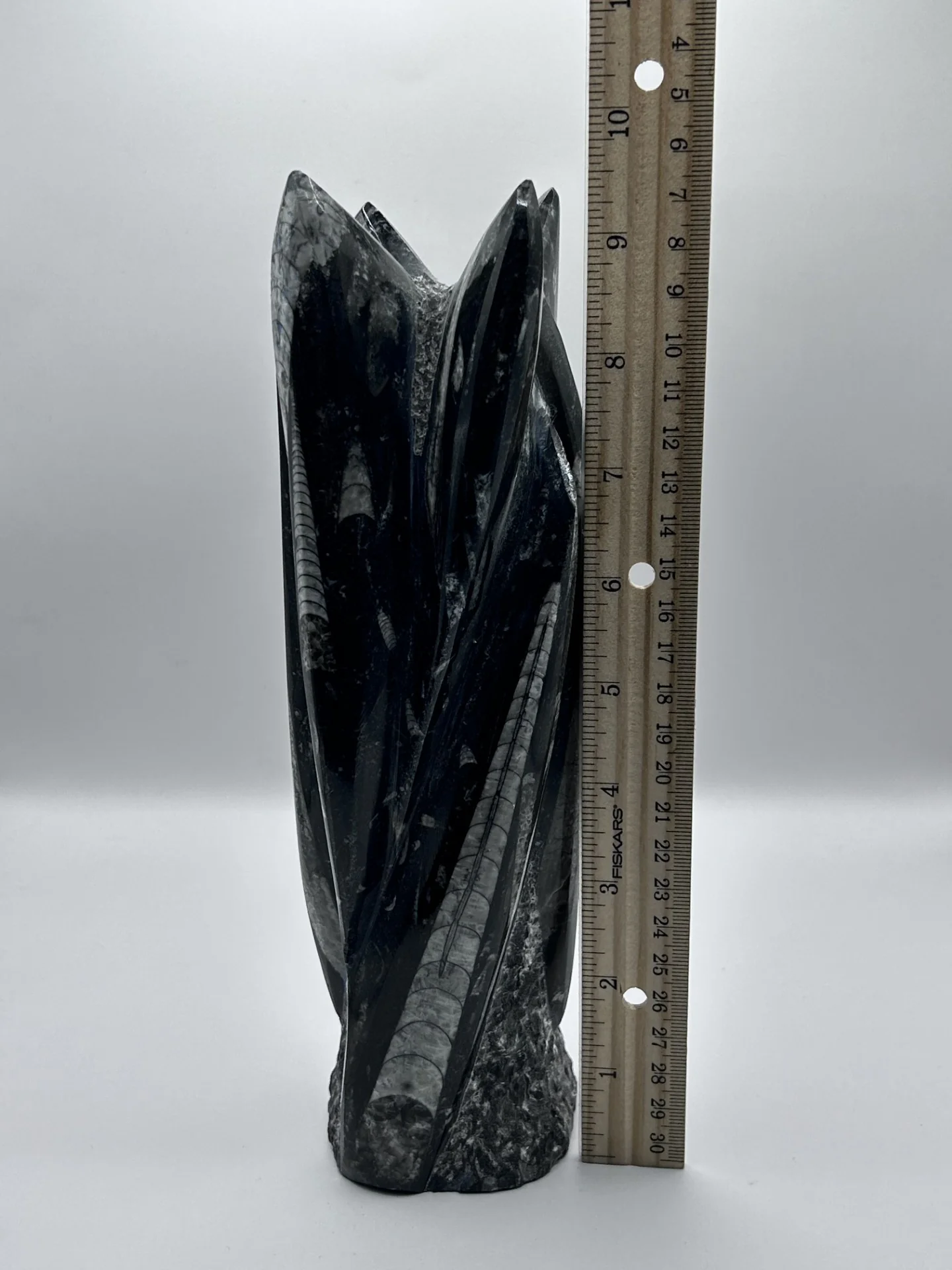 Polished Orthoceras Fossil – 9.5" Sculpture - Image 6