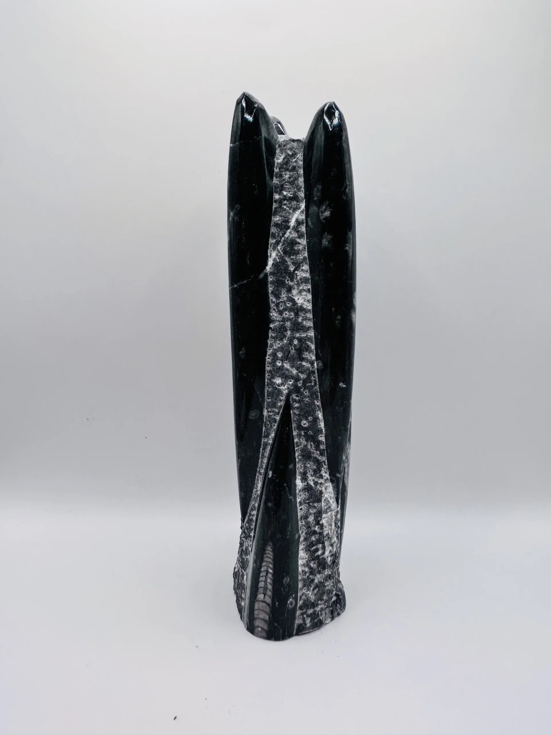 Polished Orthoceras Fossil – 9" Sculpture - Image 2