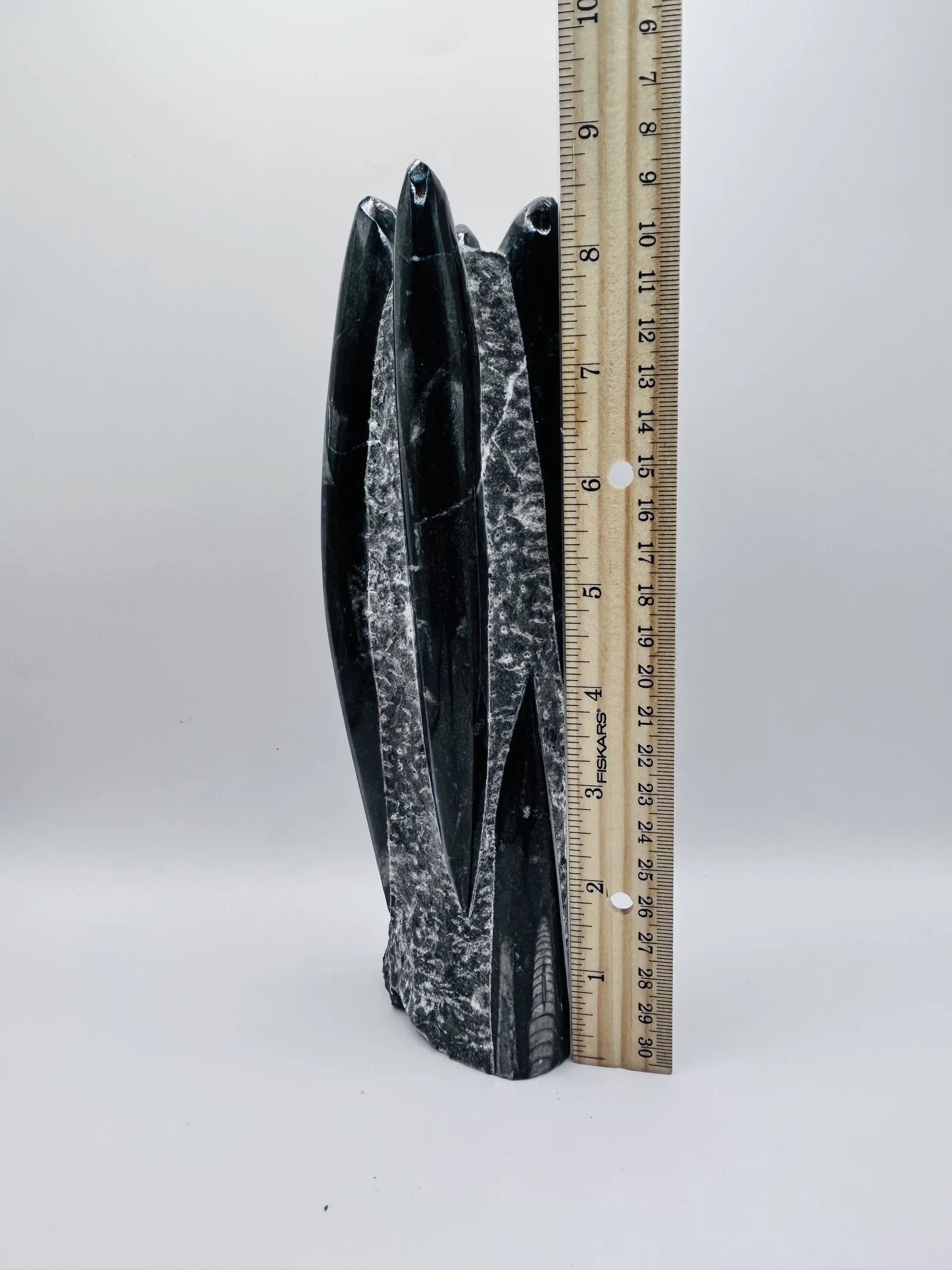 Polished Orthoceras Fossil – 9" Sculpture - Image 5