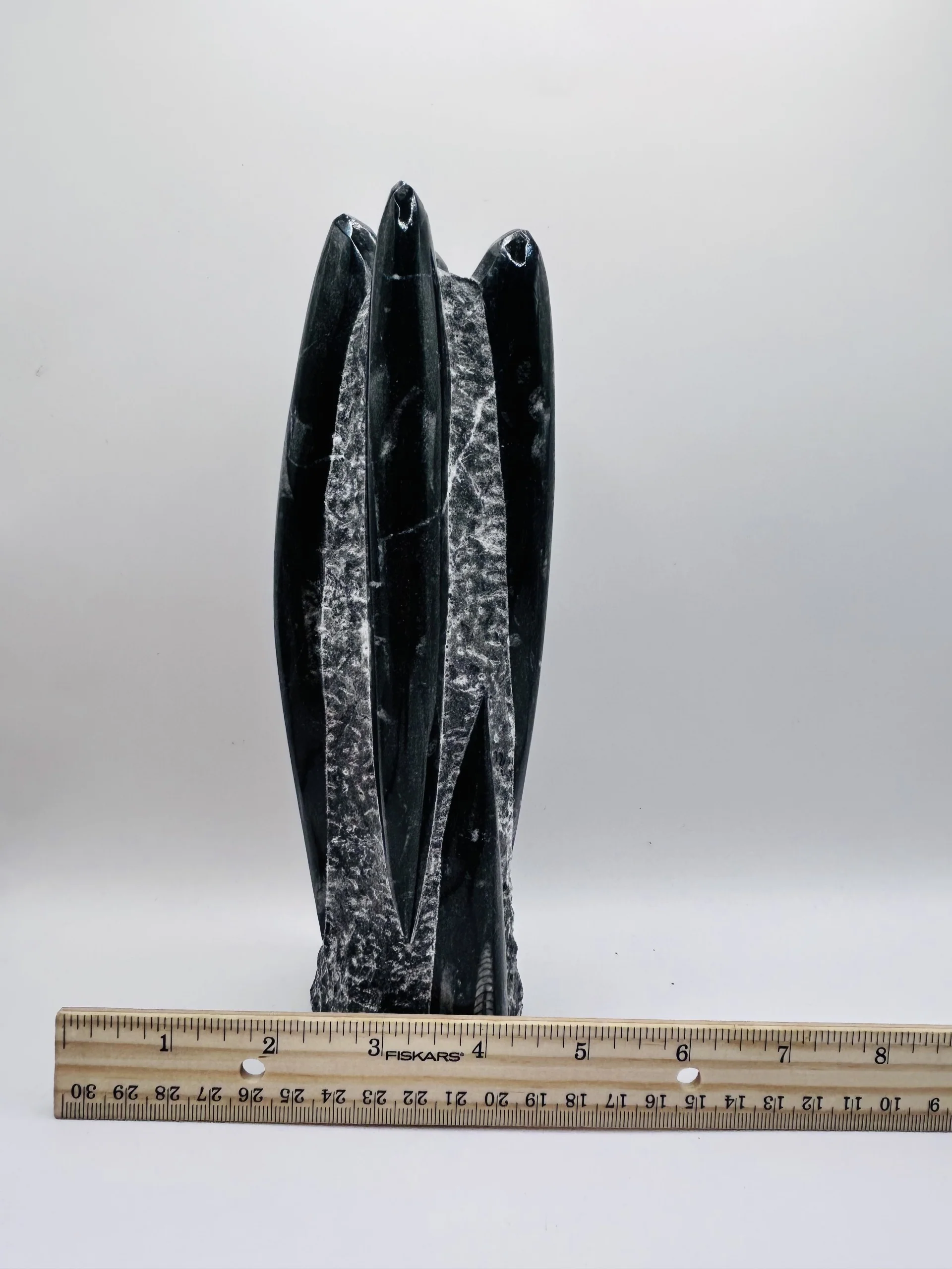 Polished Orthoceras Fossil – 9" Sculpture - Image 6