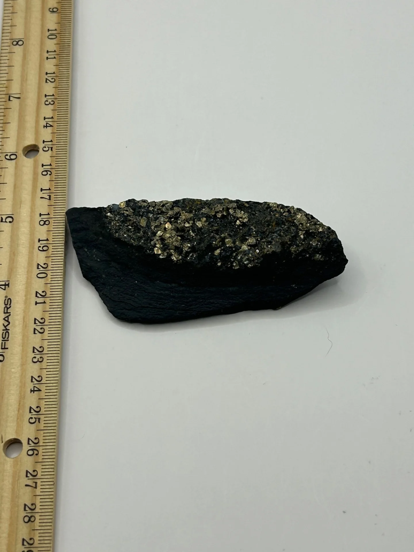 Pyrite on Shungite from Brazil - Image 2