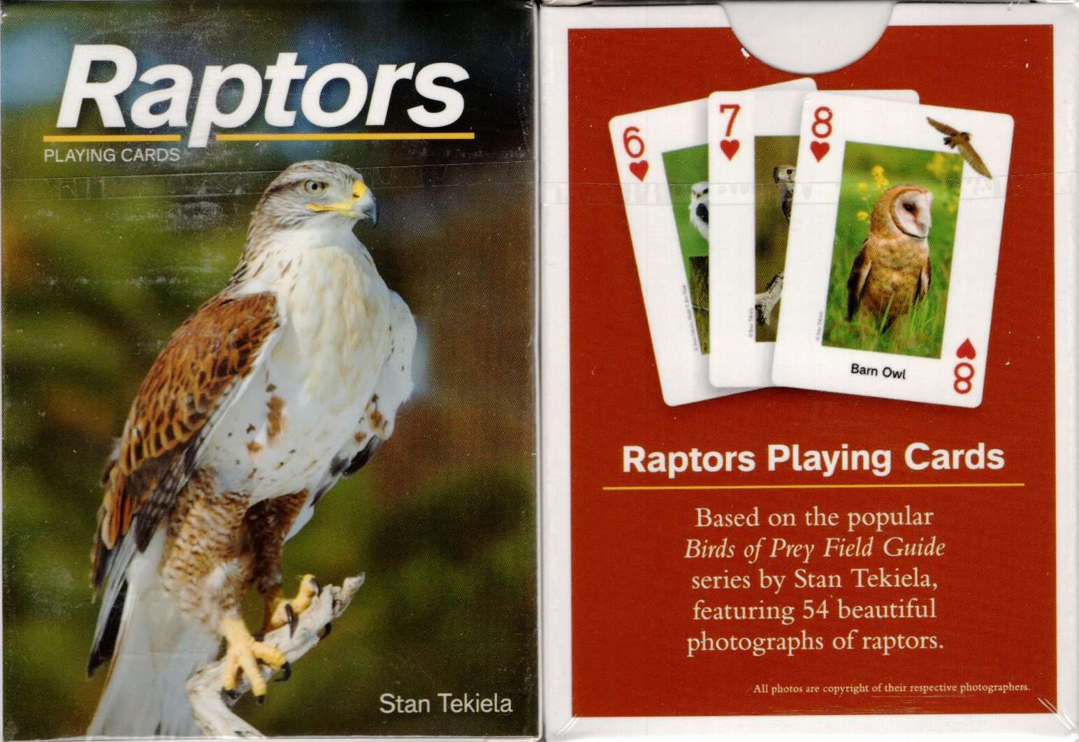 Raptors Playing Cards