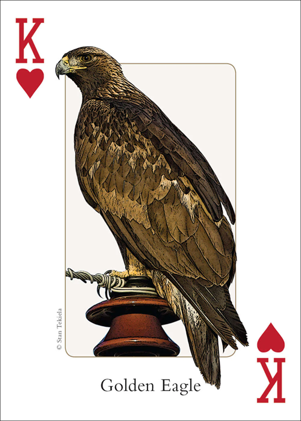 Rocky Mountain Birds Playing Cards - Image 4