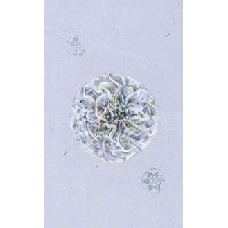 The Archeo - Personal Archetype Cards - Image 2